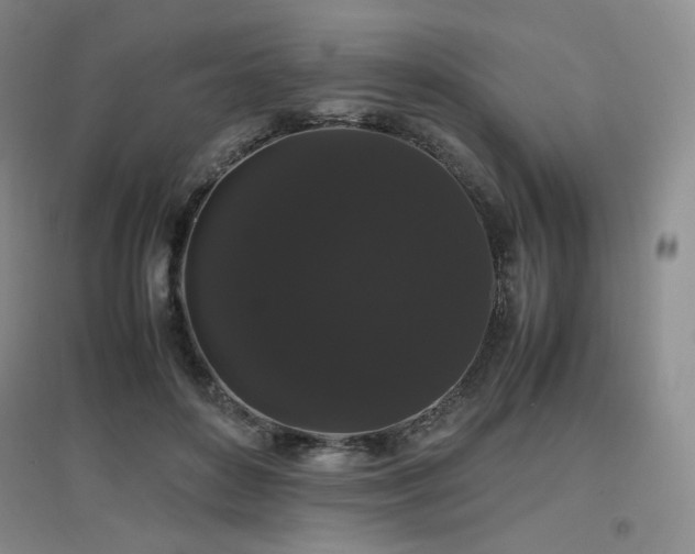 X0000097620504200802291329