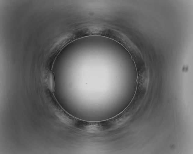 X0000097620505200802291329