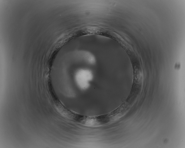X0000097620507200802291329