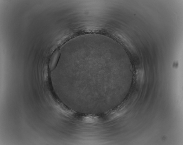 X0000097620508200802291329