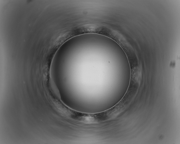 X0000097620509200802291329