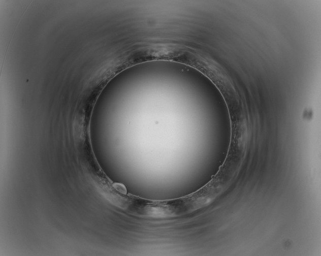 X0000097620510200802291329