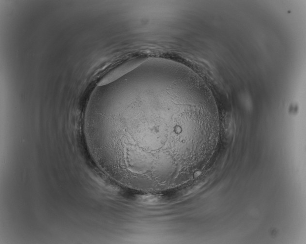 X0000097620511200802291329