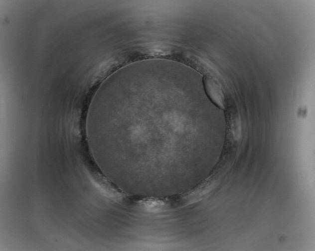 X0000097620512200802291329