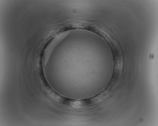 X0000097620513200802291329
