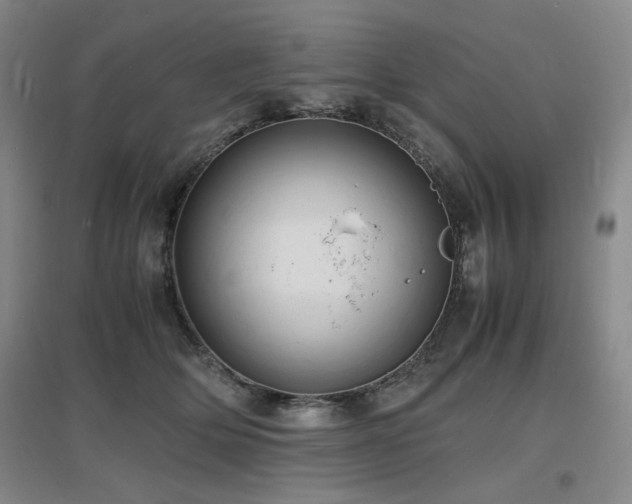 X0000097620514200802291329