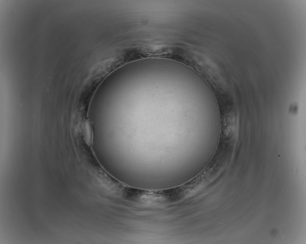 X0000097620515200802291329