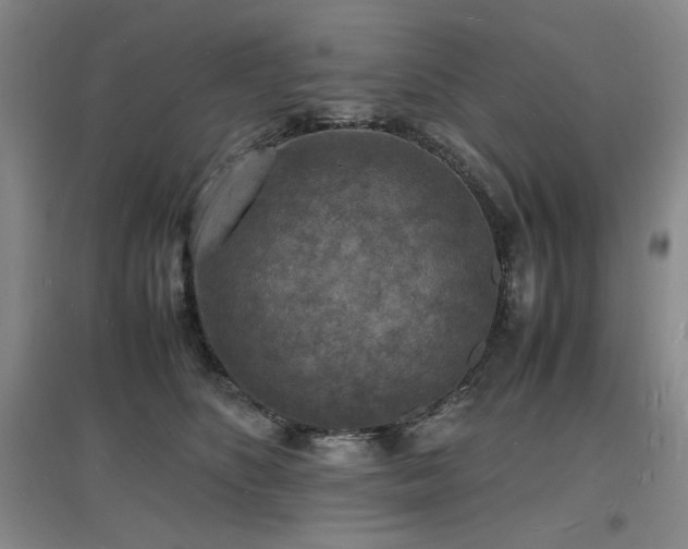 X0000097620516200802291329