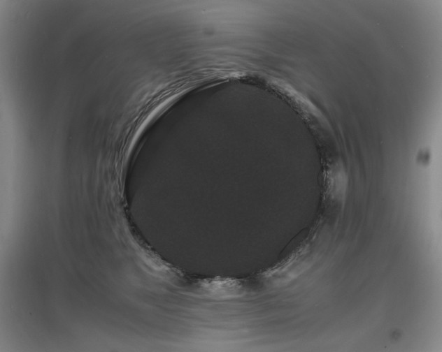X0000097620517200802291329
