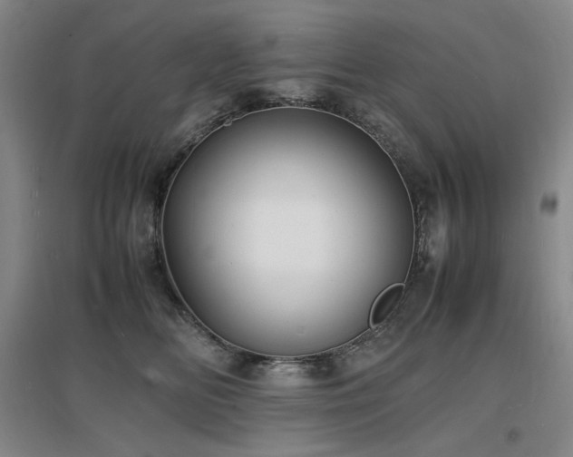 X0000097620518200802291329