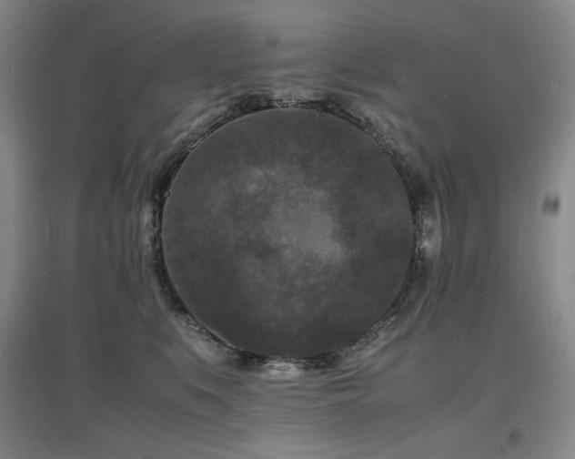X0000097620519200802291329