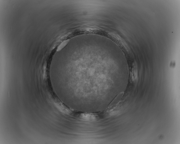 X0000097620520200802291329