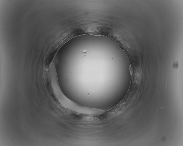 X0000097620521200802291328