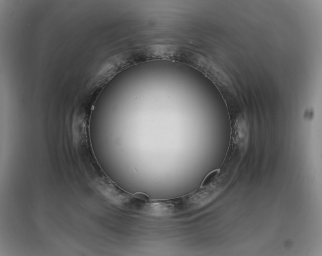 X0000097620522200802291328