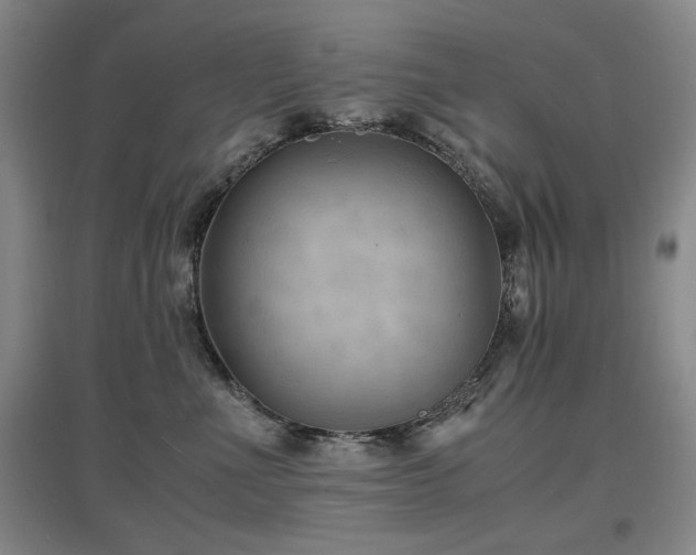 X0000097620523200802291328