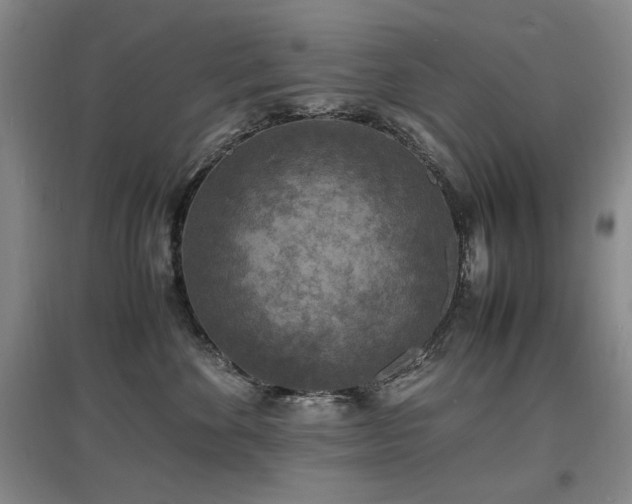 X0000097620524200802291328