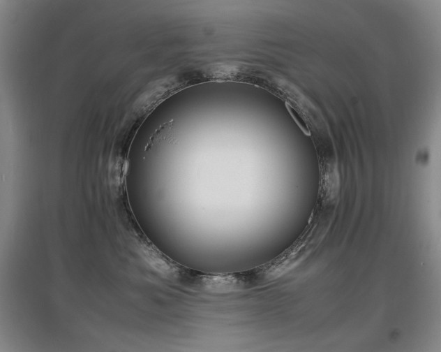 X0000097620525200802291328