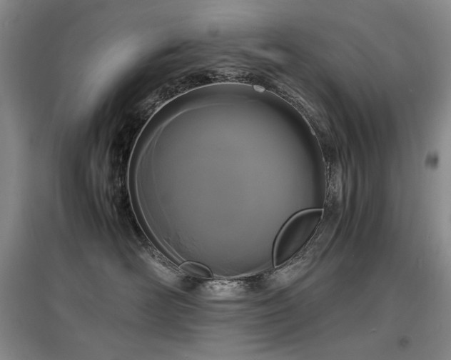 X0000097620526200802291328