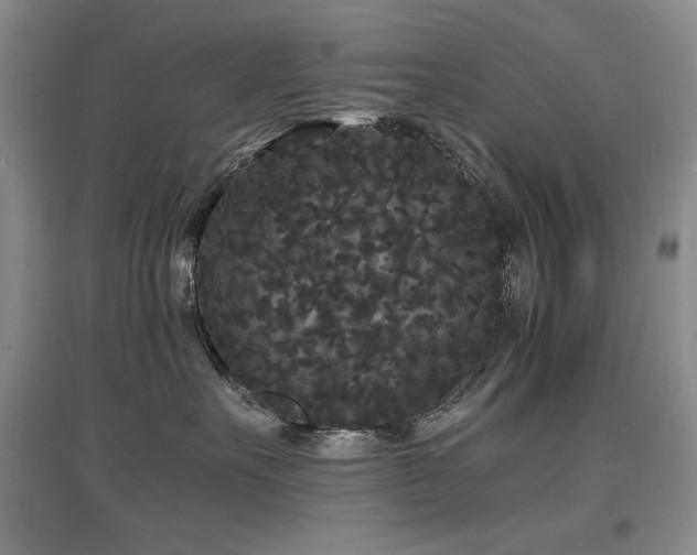 X0000097620527200802291328