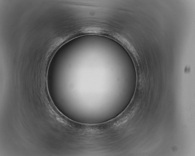 X0000097620529200802291328
