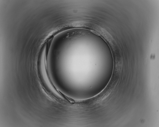 X0000097620530200802291328