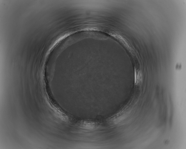 X0000097620531200802291328