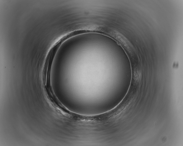 X0000097620532200802291328