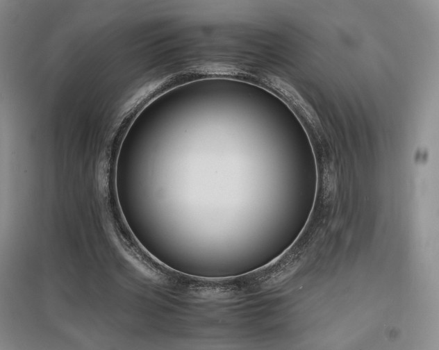 X0000097620533200802291328