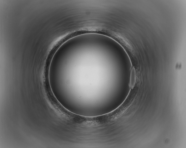 X0000097620536200802291328
