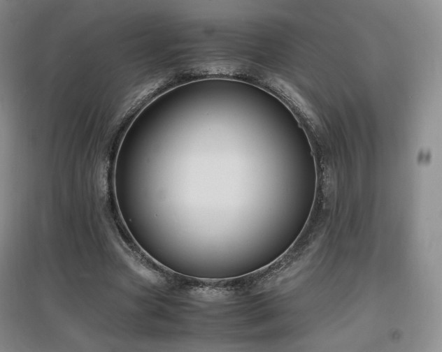 X0000097620537200802291328