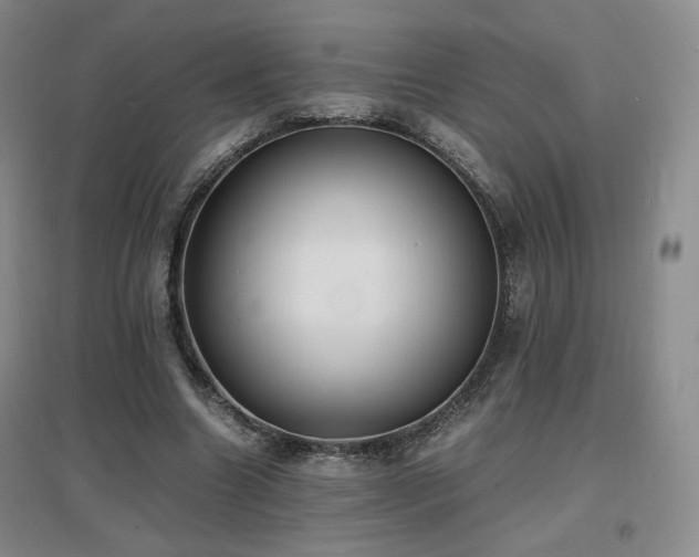 X0000097620538200802291328