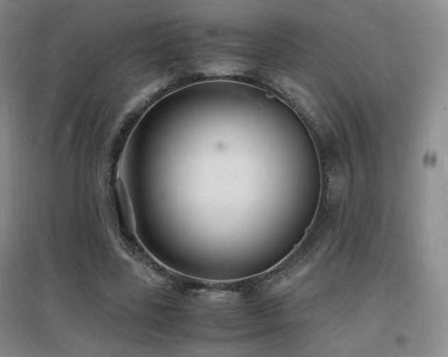 X0000097620539200802291328