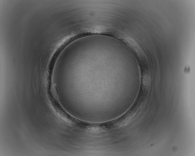 X0000097620540200802291328