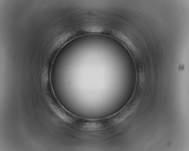 X0000097620541200802291328