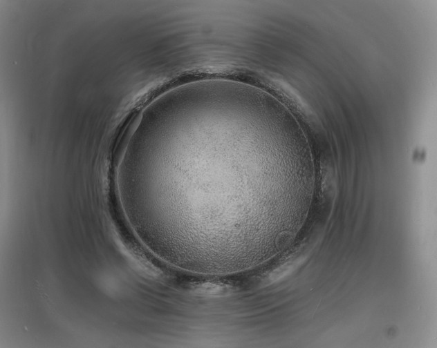 X0000097620542200802291328