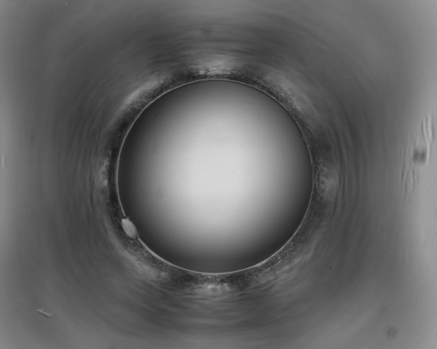 X0000097620543200802291328