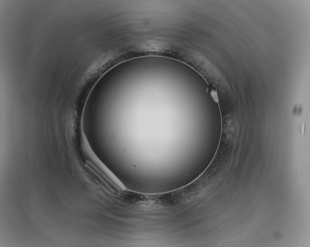 X0000097620544200802291328