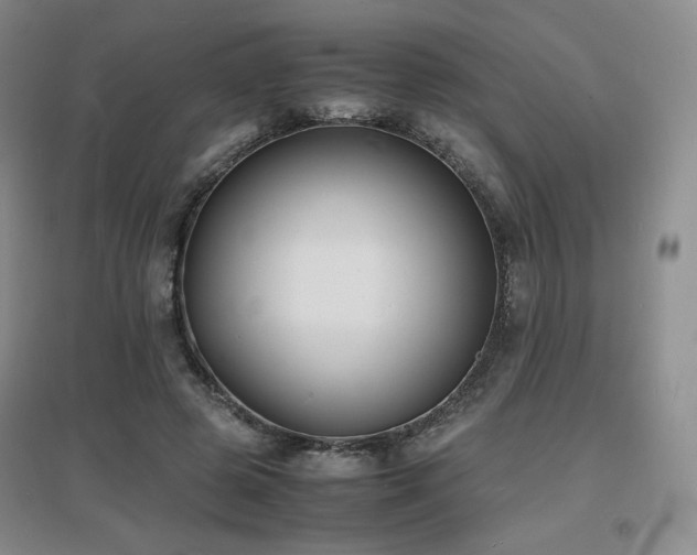 X0000097620545200802291328