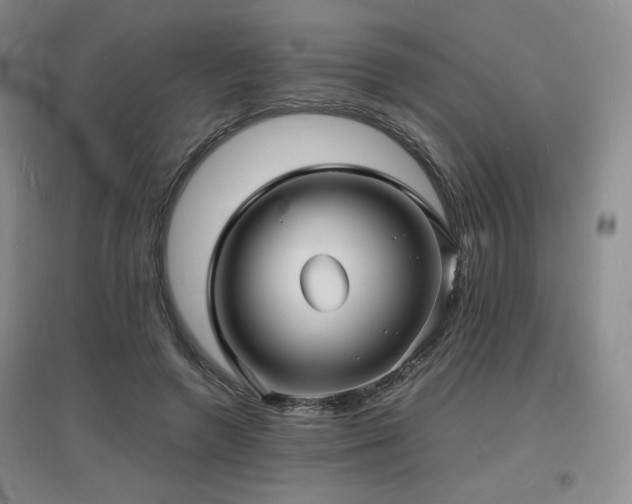 X0000097620546200802291328