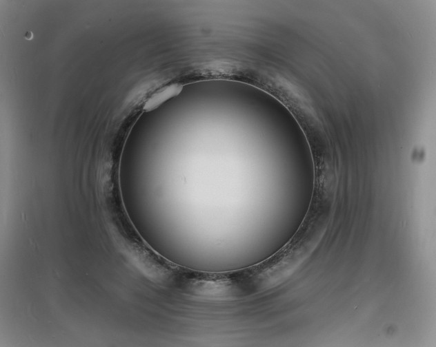 X0000097620548200802291328