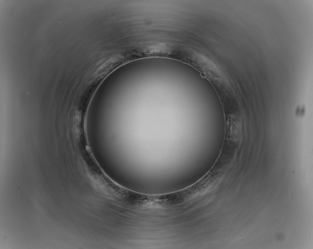 X0000097620550200802291328