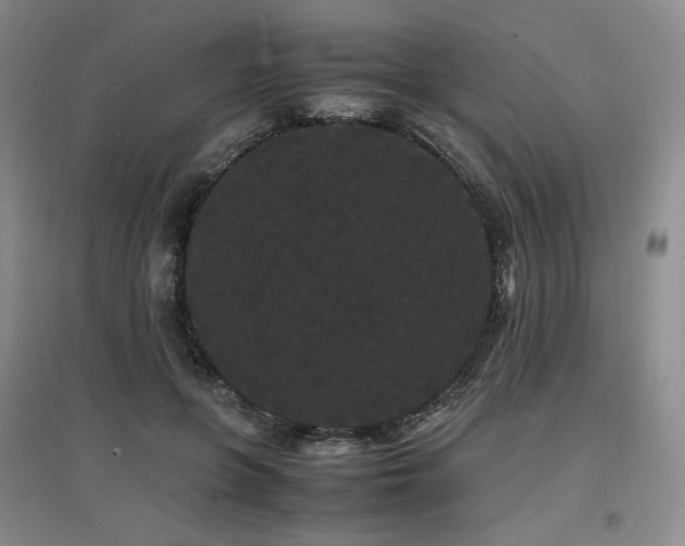 X0000097620551200802291328