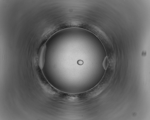 X0000097620552200802291328