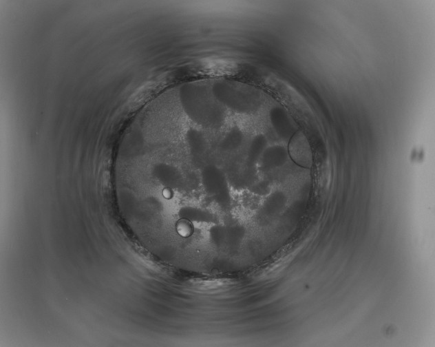 X0000097620553200802291328