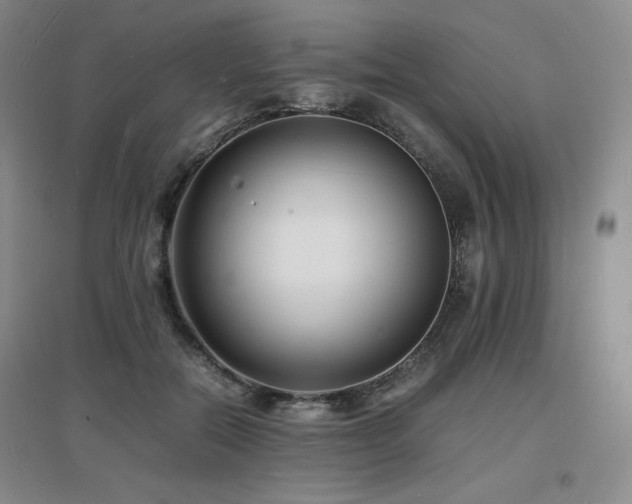 X0000097620554200802291328