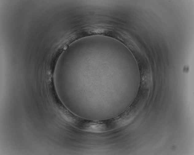 X0000097620555200802291328