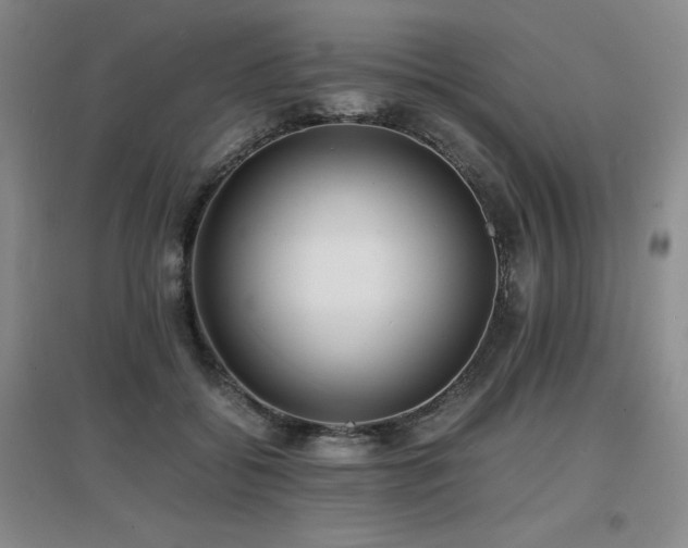 X0000097620556200802291328