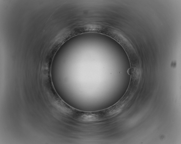 X0000097620557200802291328