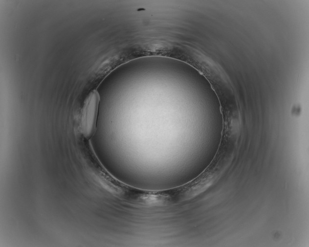 X0000097620558200802291328