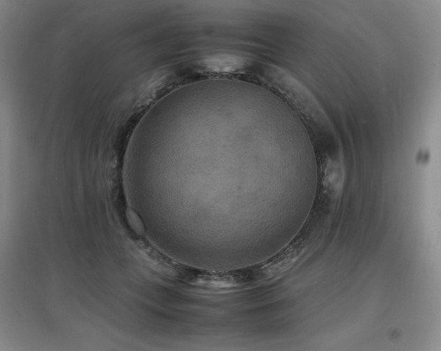 X0000097620559200802291328